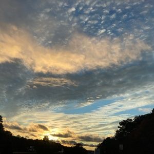 Meet your Posher, Paige